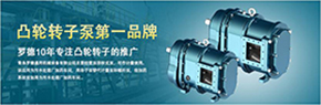 羅德轉(zhuǎn)子泵與南方某電機(jī)廠家技術(shù)交流，討論合作.